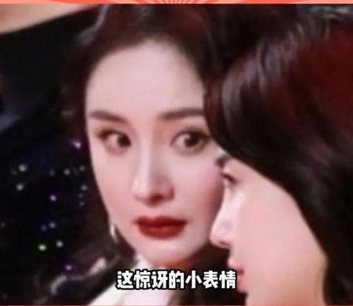 娱乐圈的吃瓜视频在线观看,吃瓜视频带你领略明星幕后生活